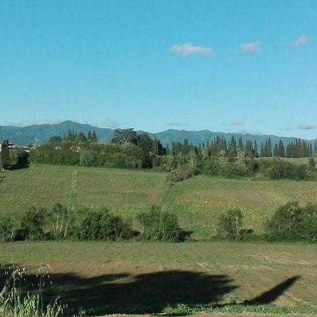 La Dimora Di Angela Apartment Barberino di Mugello Bagian luar foto